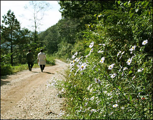 신작로 길가에 핀 꽃도 '송정떡' 걸음을 붙들진 못했다. 